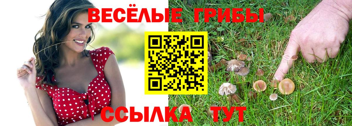 Галлюциногенные грибы Минусинск