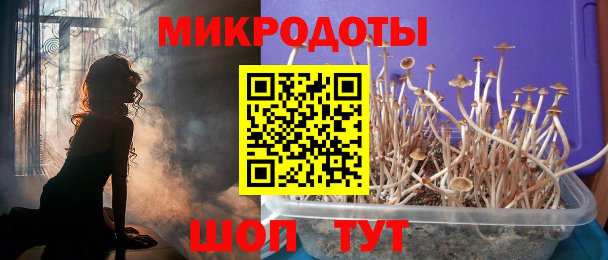 Псилоцибиновые грибы MAGIC MUSHROOMS Минусинск